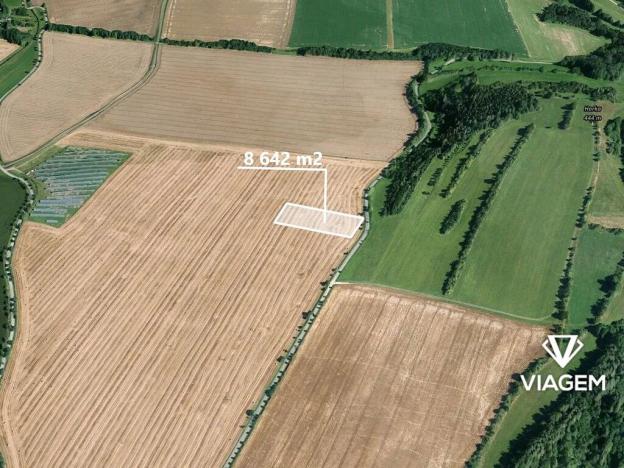 Prodej podílu lesa, Chornice, 2160 m2