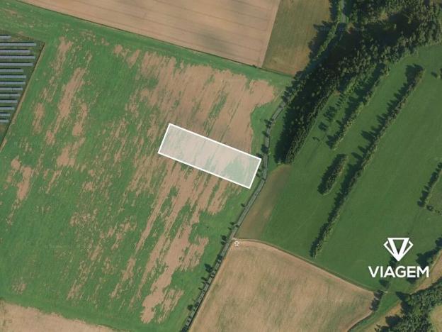 Prodej podílu lesa, Chornice, 2160 m2