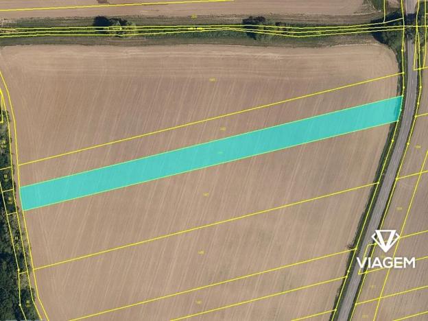 Prodej podílu lesa, Bělov, 964 m2