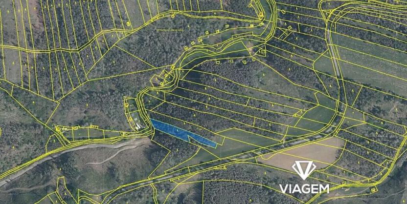 Prodej lesa, Slavičky, 3165 m2