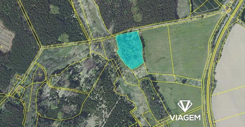 Prodej podílu lesa, Nová Ves u Leštiny, 1198 m2