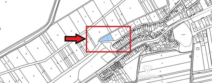 Prodej podílu lesa, Brod nad Dyjí, 644 m2