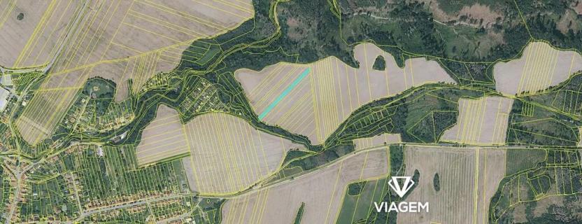 Prodej pole, Doubravice nad Svitavou, 1925 m2