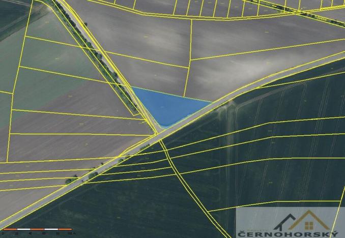 Prodej pole, Děčany, 5072 m2