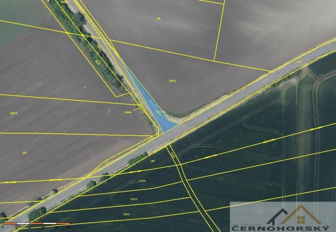 Prodej pole, Děčany, 5072 m2