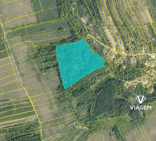 Prodej podílu lesa, Košíky, 8165 m2