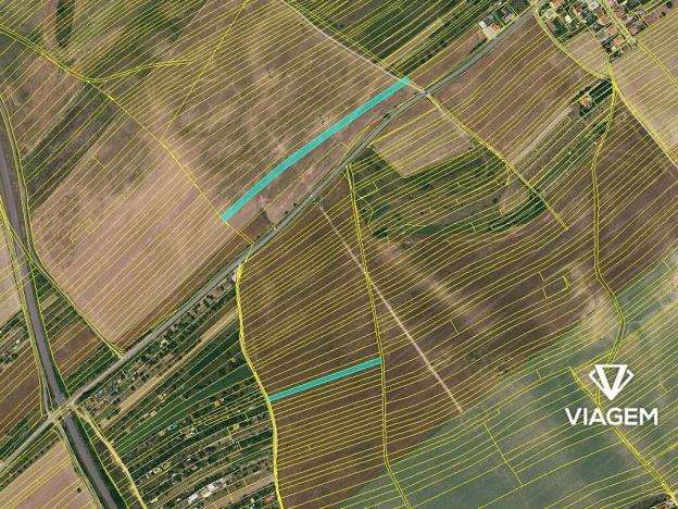 Prodej podílu pole, Kuchařovice, 1272 m2