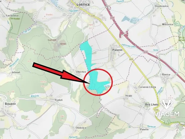 Prodej podílu lesa, Palonín, 94082 m2