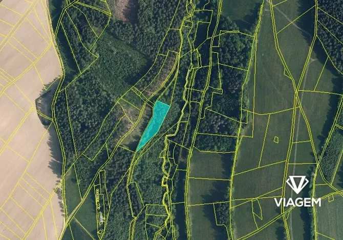Prodej podílu lesa, Jesenný, 1096 m2