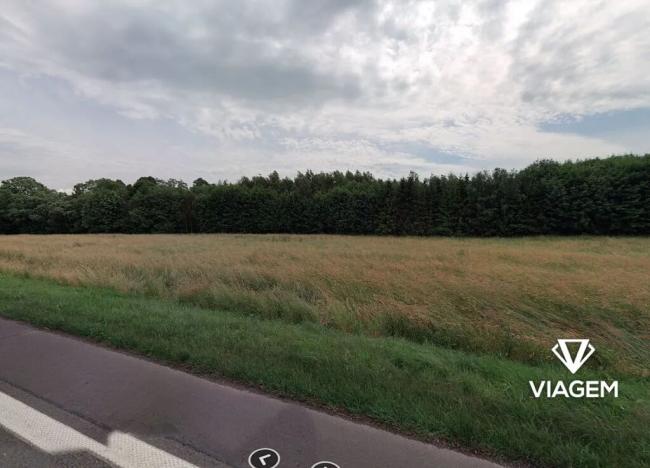 Prodej pole, Brantice, 2478 m2