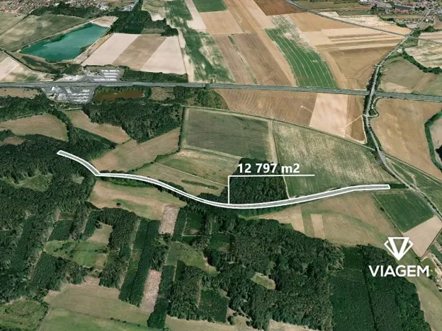 Prodej podílu lesa, Sokoleč, 1999 m2