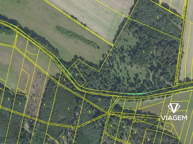 Prodej podílu lesa, Sokoleč, 1999 m2