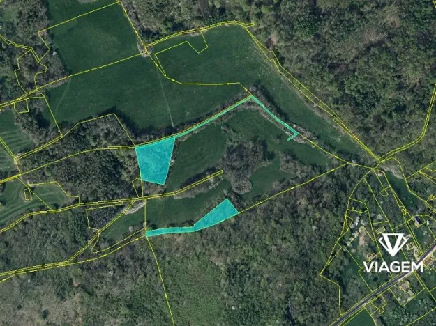 Prodej podílu lesa, Veselé, 5410 m2