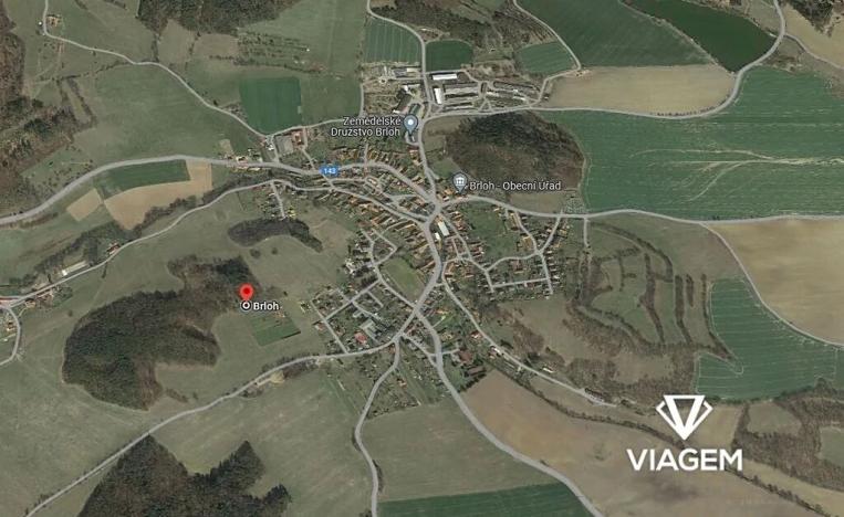 Prodej lesa, Brloh, 3859 m2