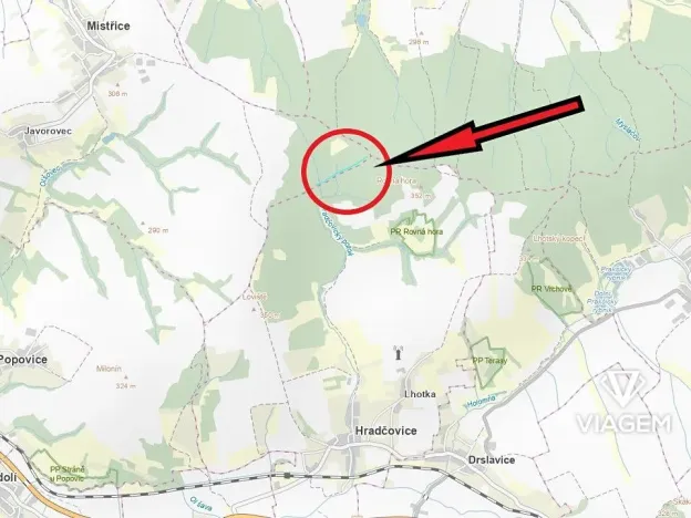 Prodej podílu lesa, Mistřice, 1097 m2