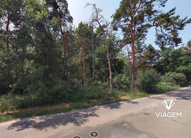 Prodej lesa, Křenek, 2867 m2