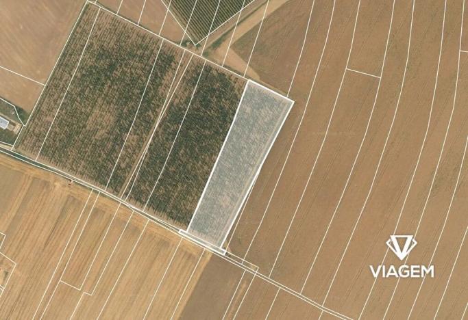 Prodej podílu pole, Chotiněves, 3468 m2