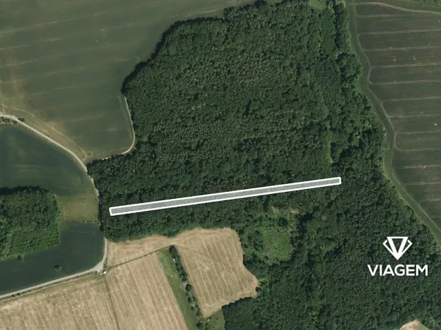 Prodej podílu lesa, Ostrožská Lhota, 978 m2