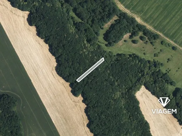 Prodej podílu lesa, Popovice, 736 m2