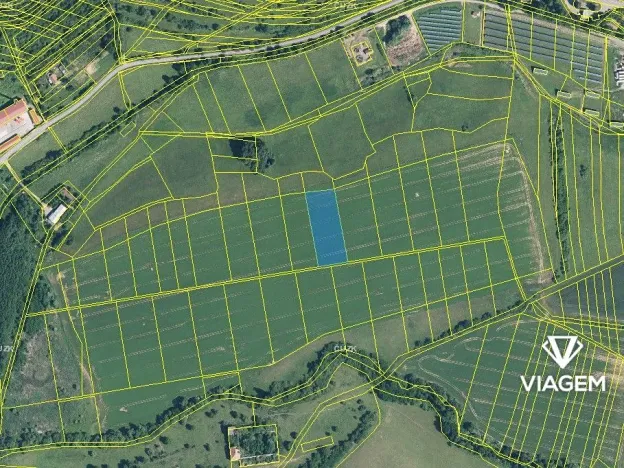 Prodej podílu pole, Osvětimany, 1557 m2