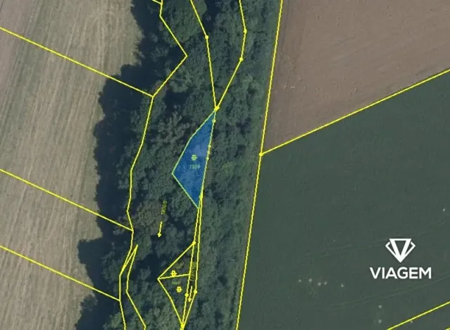 Prodej pole, Rovensko, 294 m2