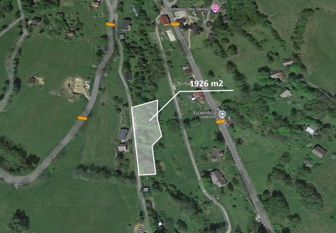 Prodej podílu lesa, Zlatá Olešnice, 963 m2