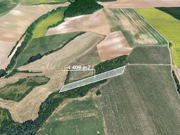 Prodej podílu lesa, Kyjov, 1102 m2