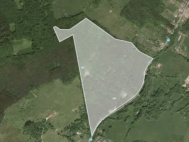 Prodej podílu lesa, Bánov, 76909 m2