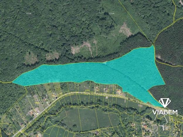 Prodej podílu lesa, Bánov, 76909 m2