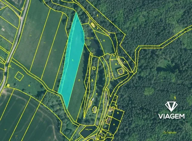 Prodej podílu pole, Slabčice, 1568 m2
