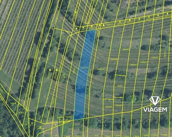 Prodej podílu pole, Uherčice, 233 m2