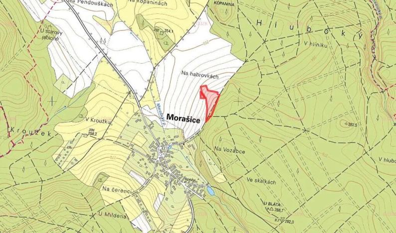 Prodej pole, Morašice, 8621 m2