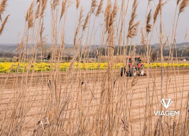 Prodej podílu pole, Cetechovice, 4266 m2