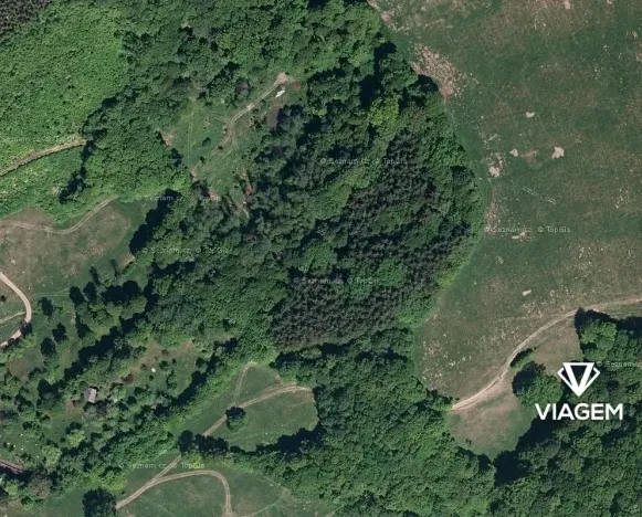 Prodej podílu lesa, Brumov-Bylnice, 1301 m2