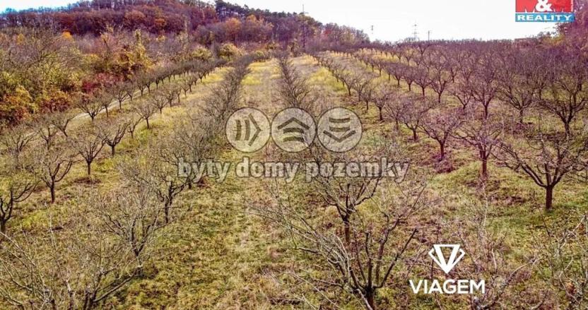 Prodej podílu pole, Roudnice nad Labem, 2009 m2