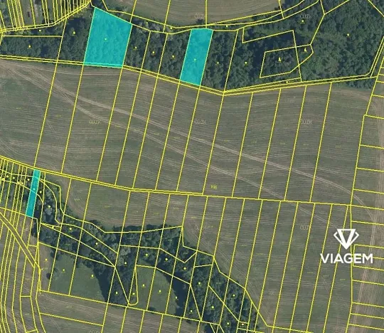 Prodej podílu pole, Kaňovice, 724 m2