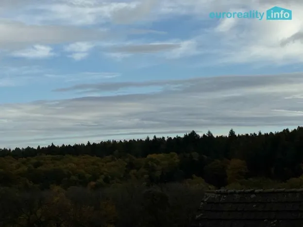 Prodej vícegeneračního domu, Březí, 346 m2