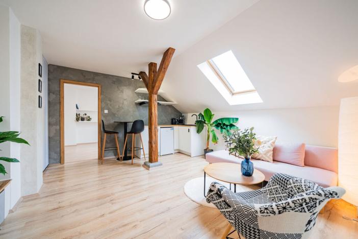 Prodej bytu 2+kk, Praha - Žižkov, Cimburkova, 36 m2