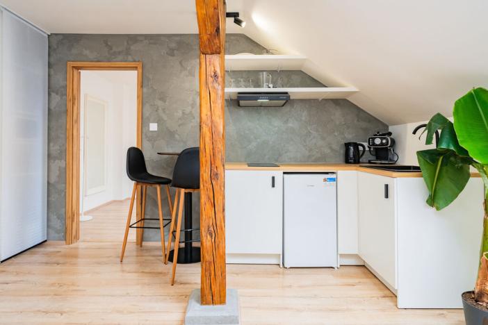 Prodej bytu 2+kk, Praha - Žižkov, Cimburkova, 36 m2