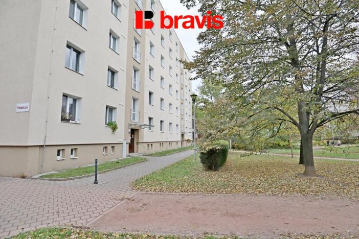 Pronájem bytu 1+1, Brno, Veletržní, 38 m2