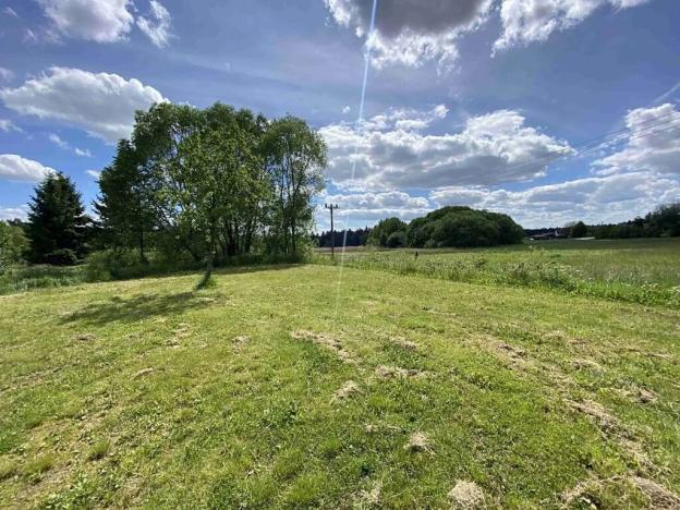 Dražba pozemku pro bydlení, Slavonice, 1609 m2