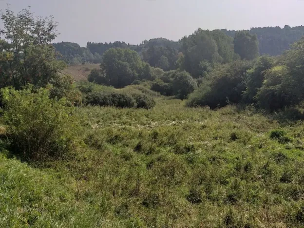 Dražba louky, Úterý, 34244 m2