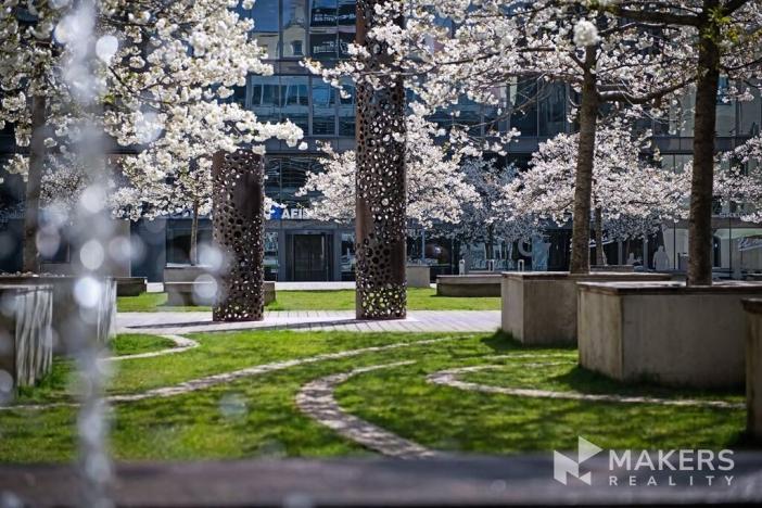 Pronájem kanceláře, Praha - Holešovice, Jankovcova, 226 m2