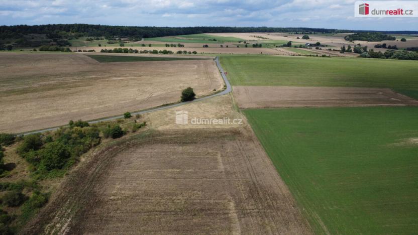 Prodej pozemku, Sýkořice, 3943 m2