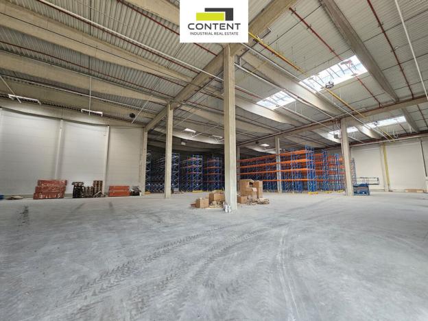 Pronájem skladu, Kozomín, 6000 m2