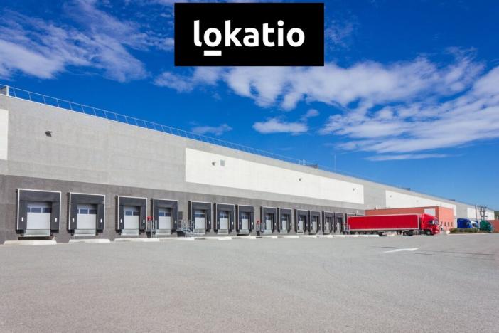 Pronájem výrobních prostor, Hrušky, 5000 m2