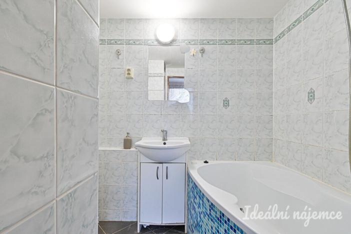 Pronájem bytu 1+1, Židlochovice, sídl. Družba, 30 m2