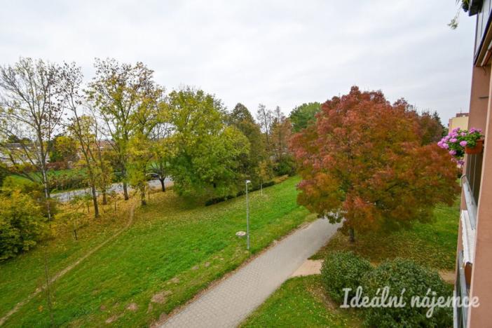 Pronájem bytu 1+1, Židlochovice, sídl. Družba, 30 m2