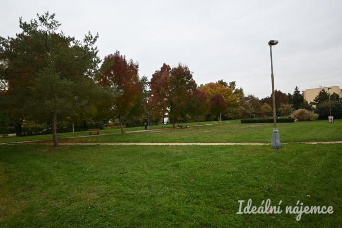 Pronájem bytu 1+1, Židlochovice, sídl. Družba, 30 m2