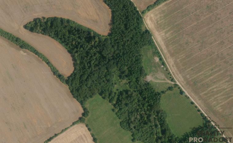 Prodej louky, Traplice, 4459 m2